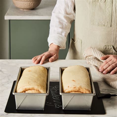 electric bread riser